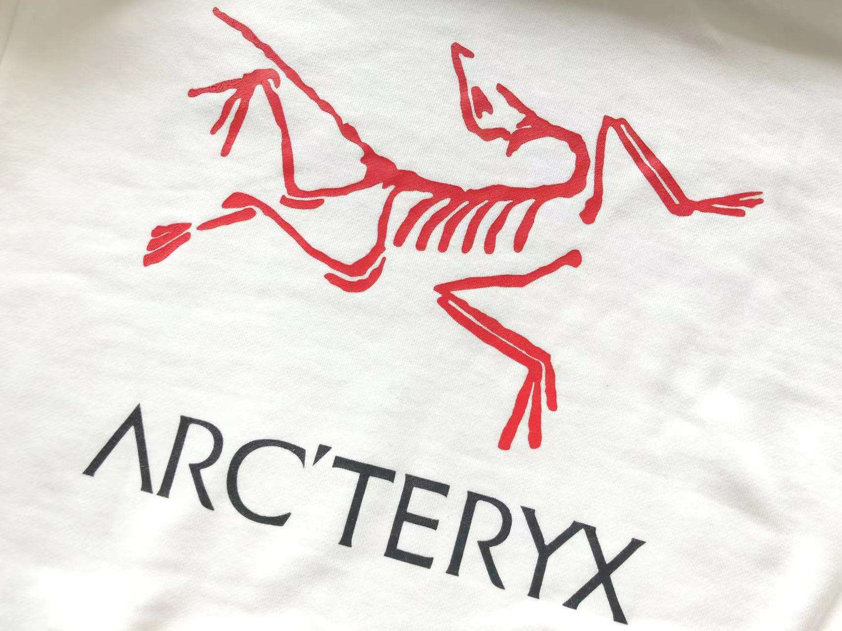 Z2513 Sudadera Palace x Arc`teryx - Imagen 5